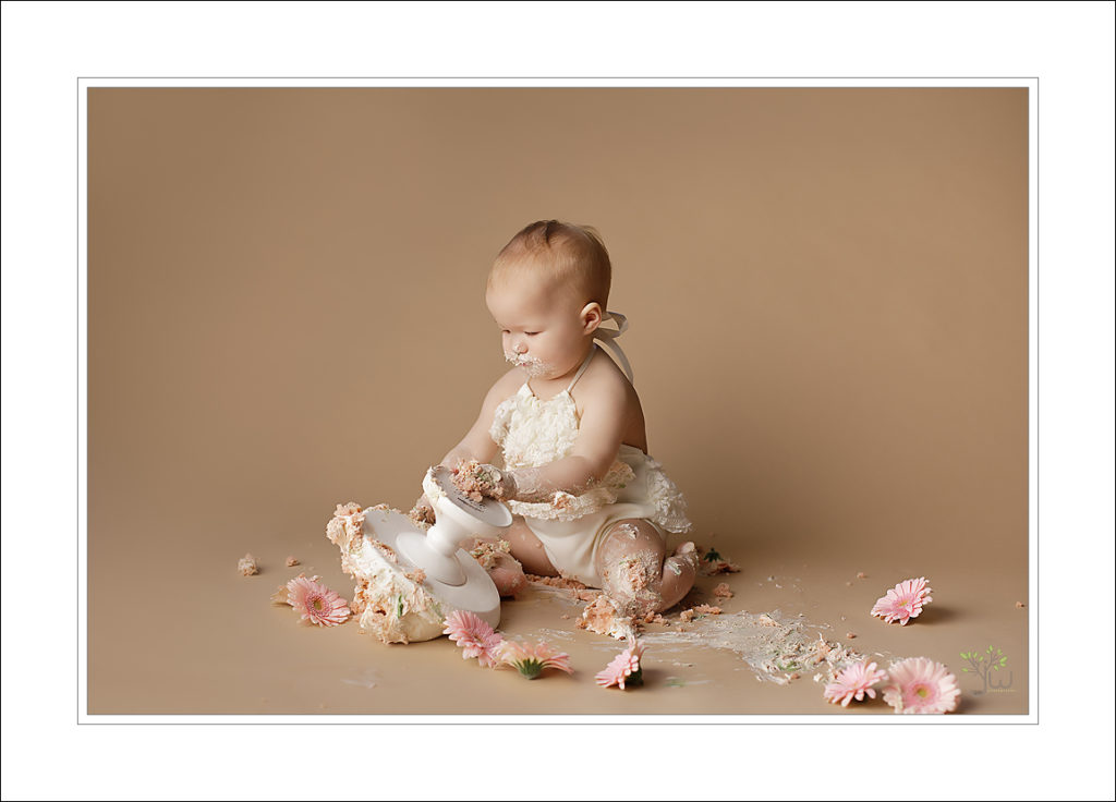 Best Des Moines baby photography